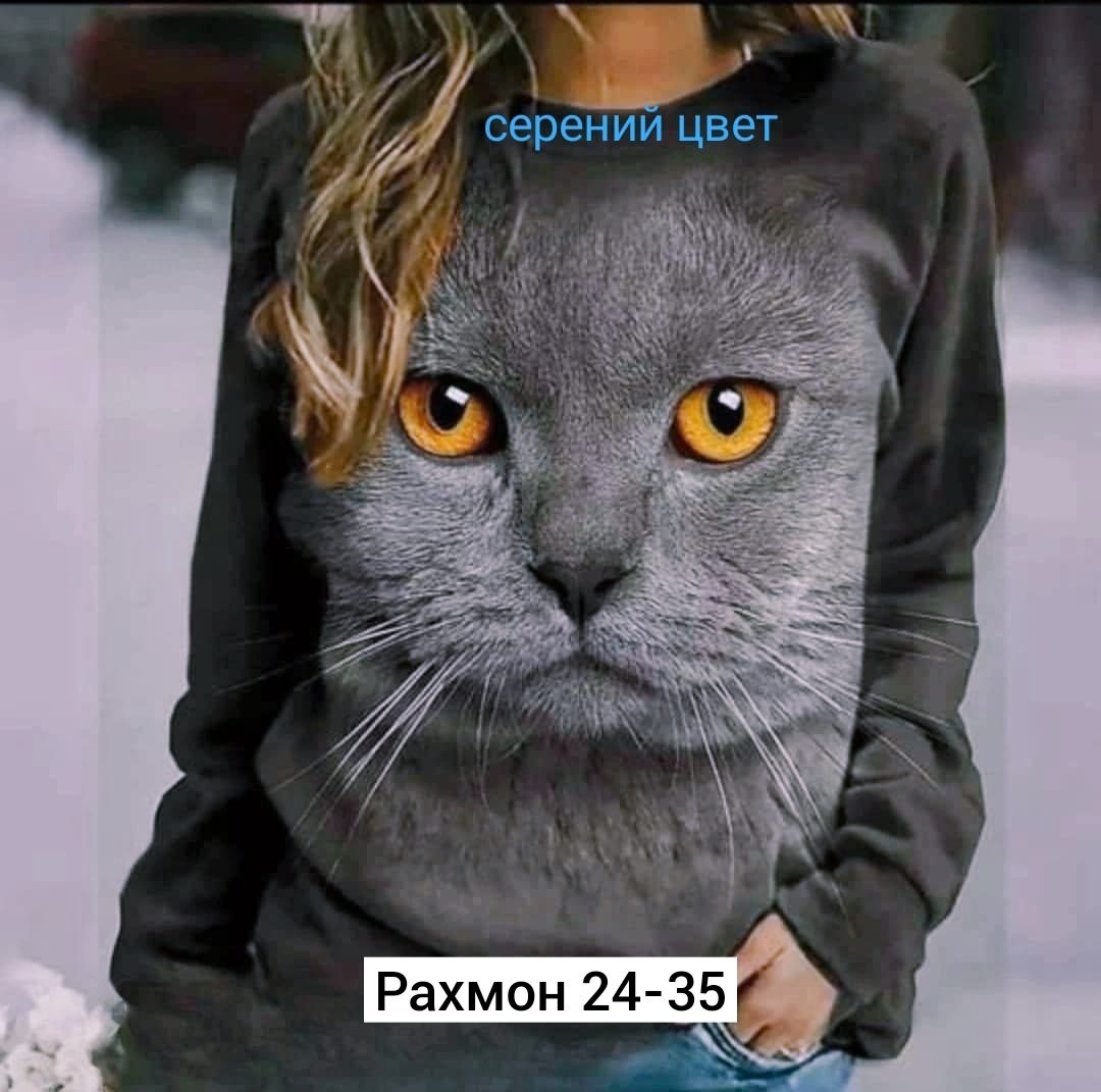 повседневный свитшот,свитшот женская,модные свитшоты,модная толстовка,женский свитшот с длинным рукавом