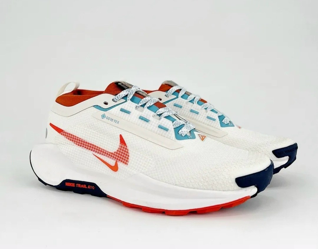 кроссовки nike pegasus trail,кроссовки nike pegasus,кроссовки nike,nike pegasus trail 5 gore tex,nike pegasus trail 5