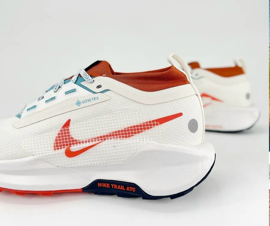 кроссовки nike pegasus trail,кроссовки nike pegasus,кроссовки nike,nike pegasus trail 5 gore tex,nike pegasus trail 5