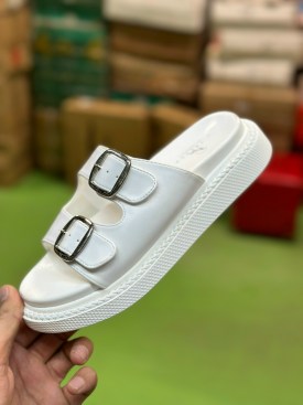 Сланцы