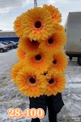 Цветы