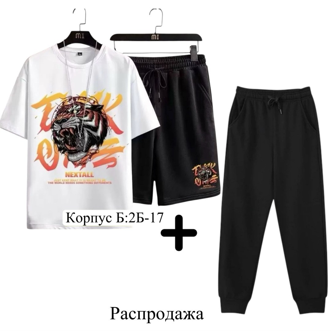 спортивные костюмы мужские,спортивные костюм,костюм мужской,одежда комплект