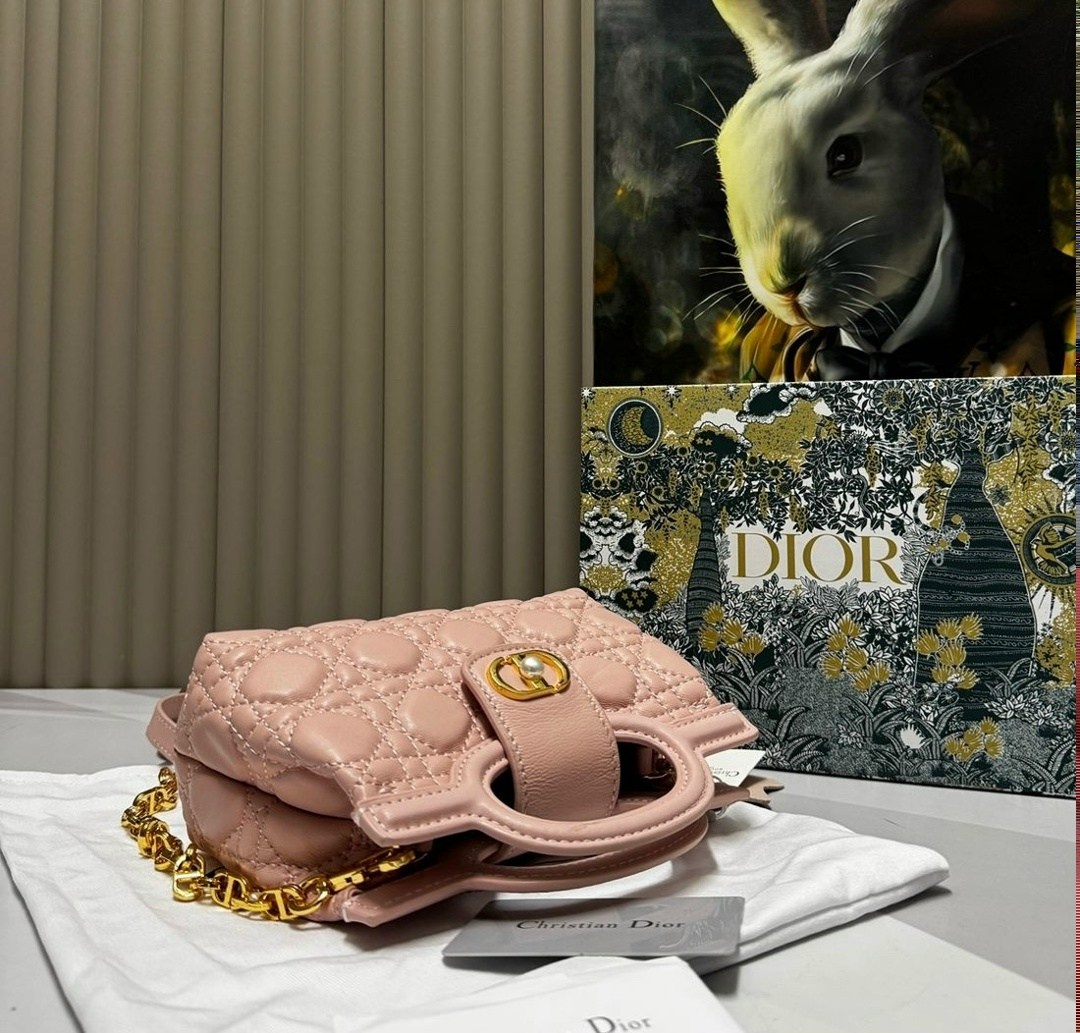dior сумка,сумка диор,сумка диор через плечо,сумка женская dior,сумка леди диор