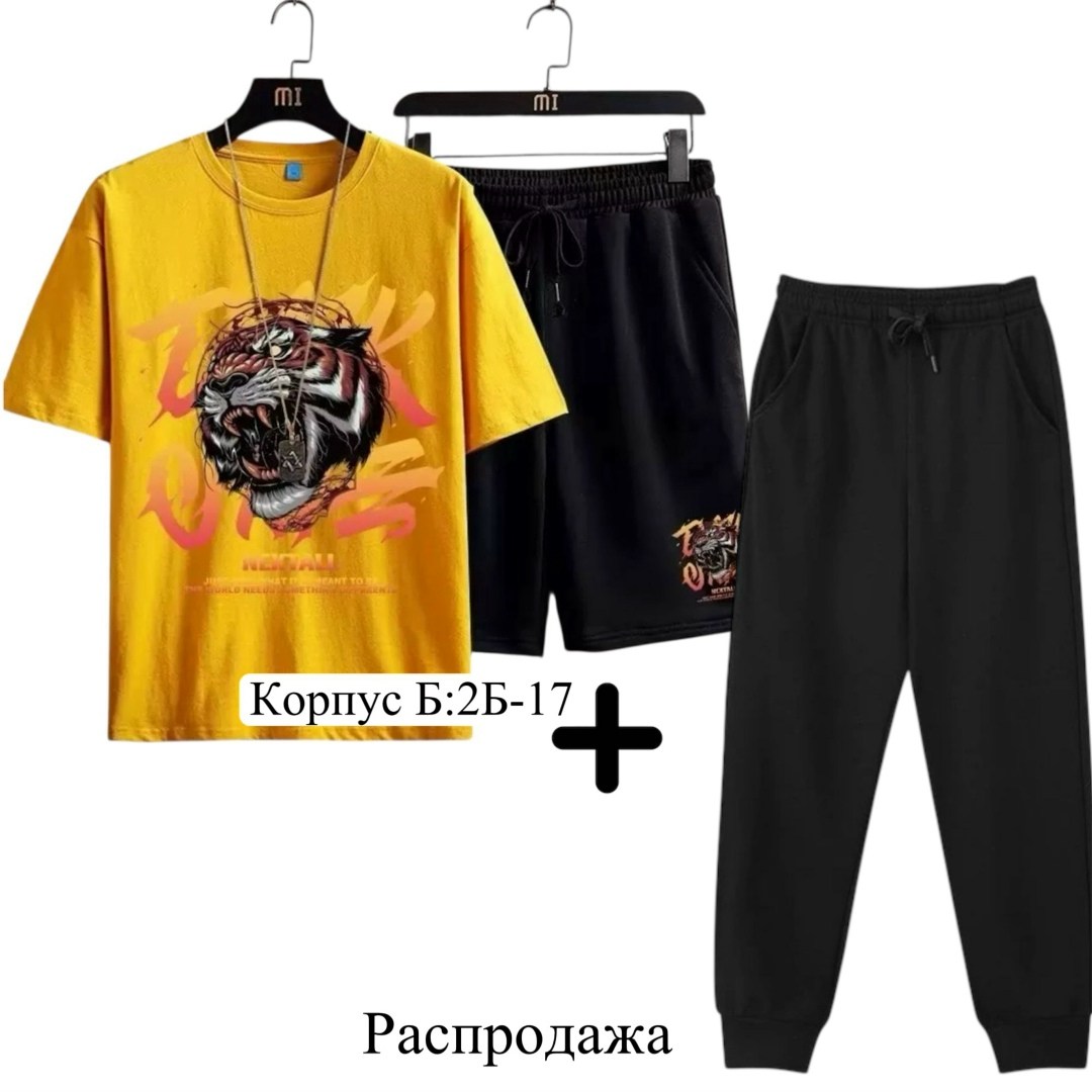 спортивные костюмы мужские,спортивные костюм,костюм мужской,одежда комплект