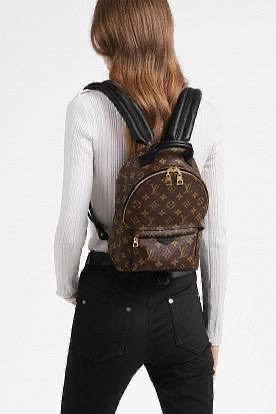 рюкзак луи виттон,рюкзак луи виттон палм,louis vuitton рюкзак,рюкзак женский луи виттон,рюкзак луи витон
