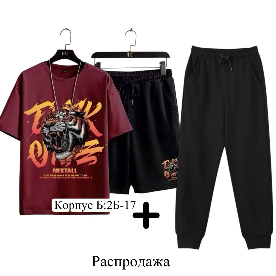 спортивные костюмы мужские,спортивные костюм,костюм мужской,одежда комплект