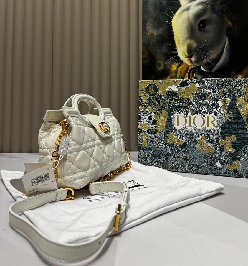 dior сумка,женская сумка dior,сумка christian dior,сумка диор леди ди,сумка lady dior my abcdior