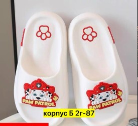 Сланцы