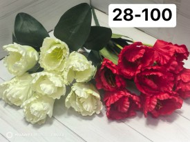 Цветы