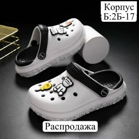Одежда