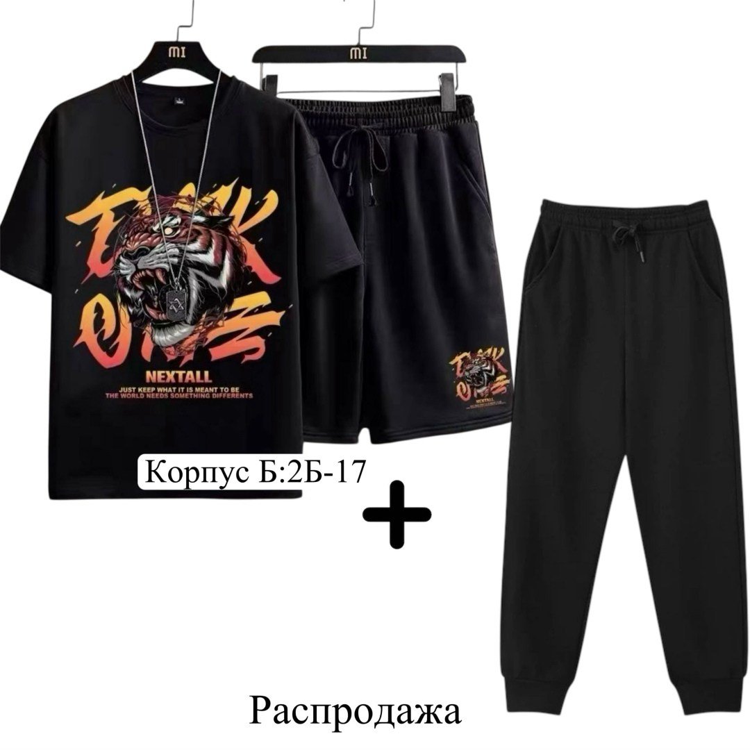 спортивные костюмы мужские,спортивные костюм,костюм мужской,одежда комплект