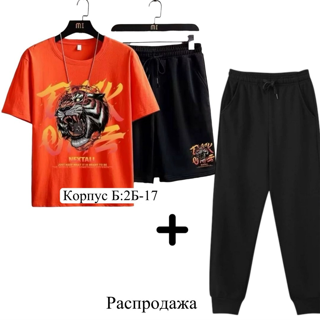 спортивные костюмы мужские,спортивные костюм,костюм мужской,одежда комплект