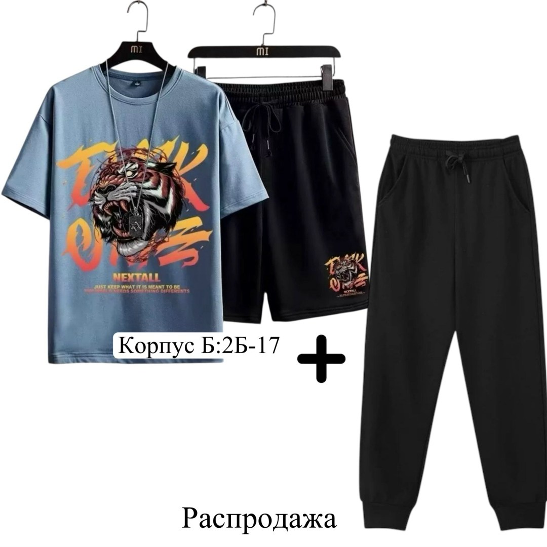 спортивные костюмы мужские,спортивные костюм,костюм мужской,одежда комплект