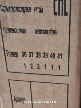 Одежда