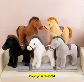 Одежда