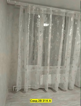 Одежда