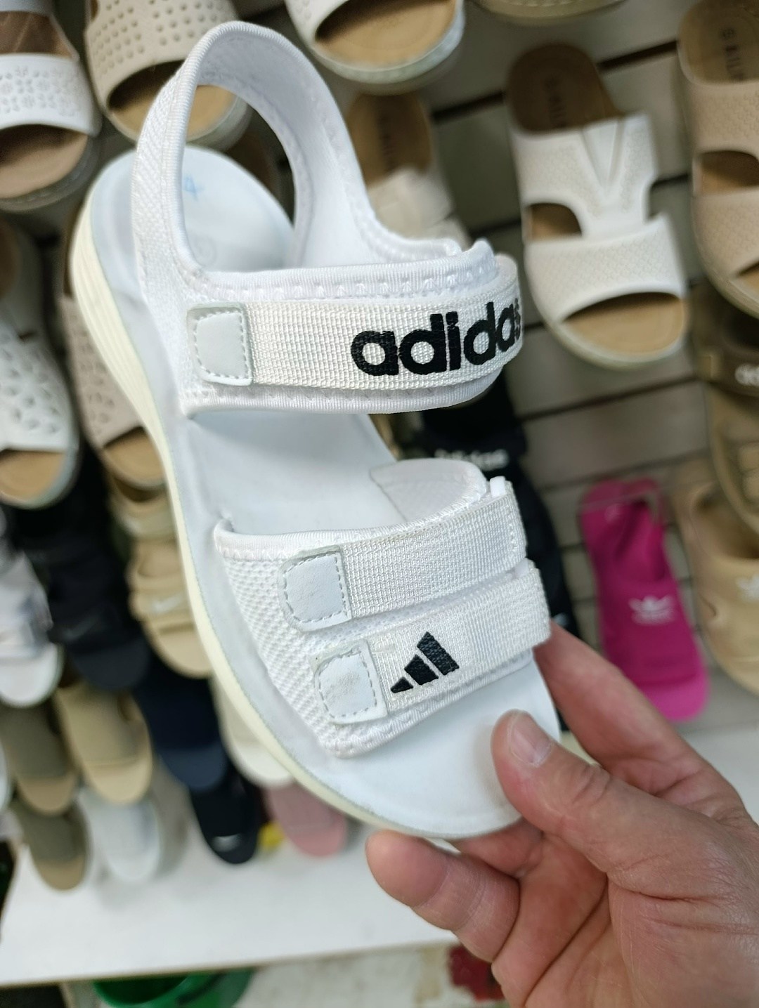 сандалии adidas,сандалии adidas adilette sandal,adidas originals adilette sandal,сандалии adidas adilette,сандалии adidas terrex sumra