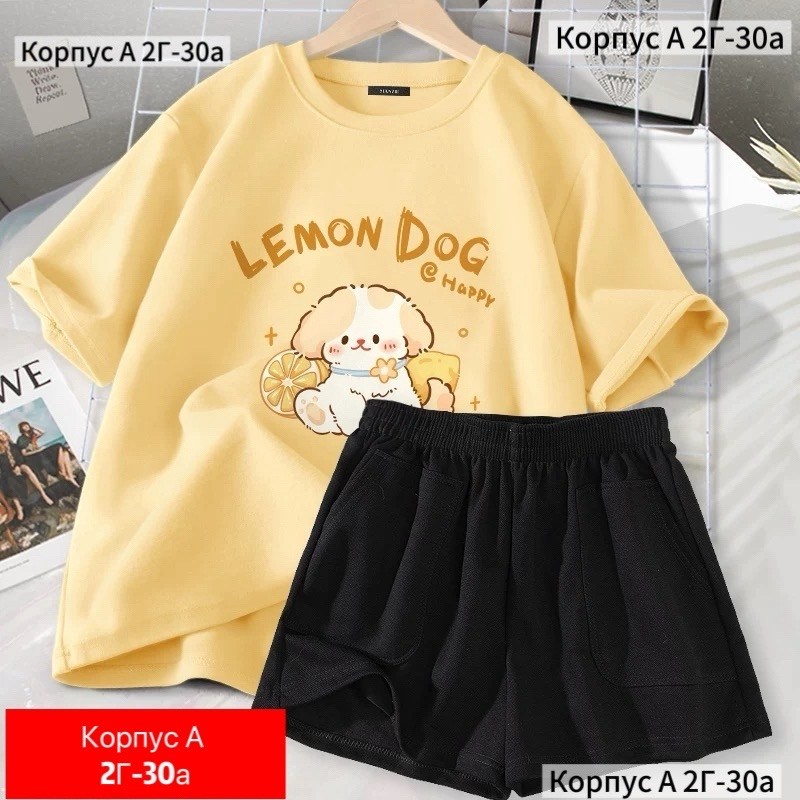 костюм для девочек,летние костюмы,костюм женский,комплект костюм,женский костюм двойка