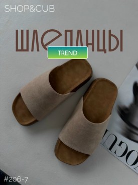 Сланцы