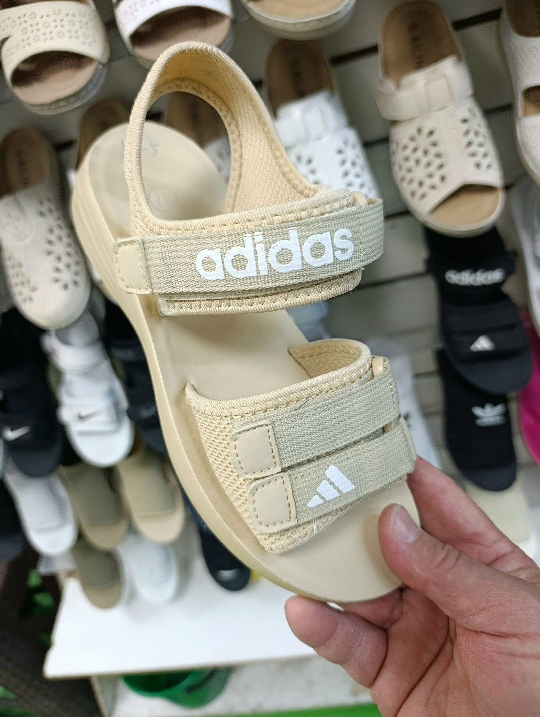 сандалии adidas,сандалии adidas adilette sandal,adidas originals adilette sandal,сандалии adidas adilette,сандалии adidas terrex sumra