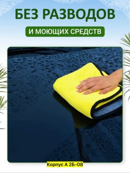 Одежда
