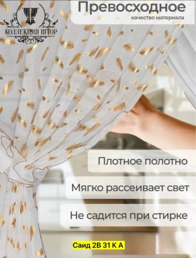 Одежда