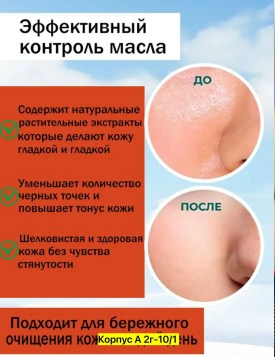 Одежда