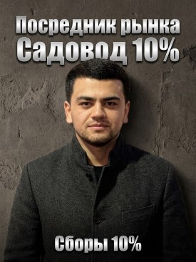 Одежда