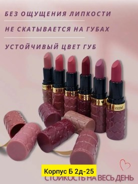 Одежда