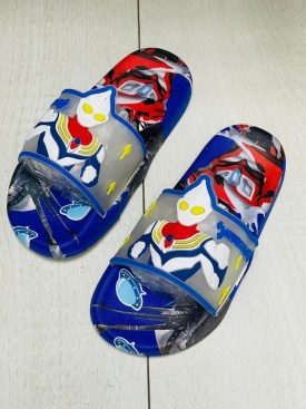 Сланцы
