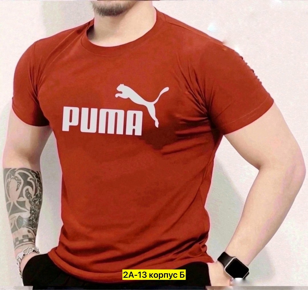 футболки мужские,футболки для мужчин,мужские футболки puma,мужские футболки ,футболка