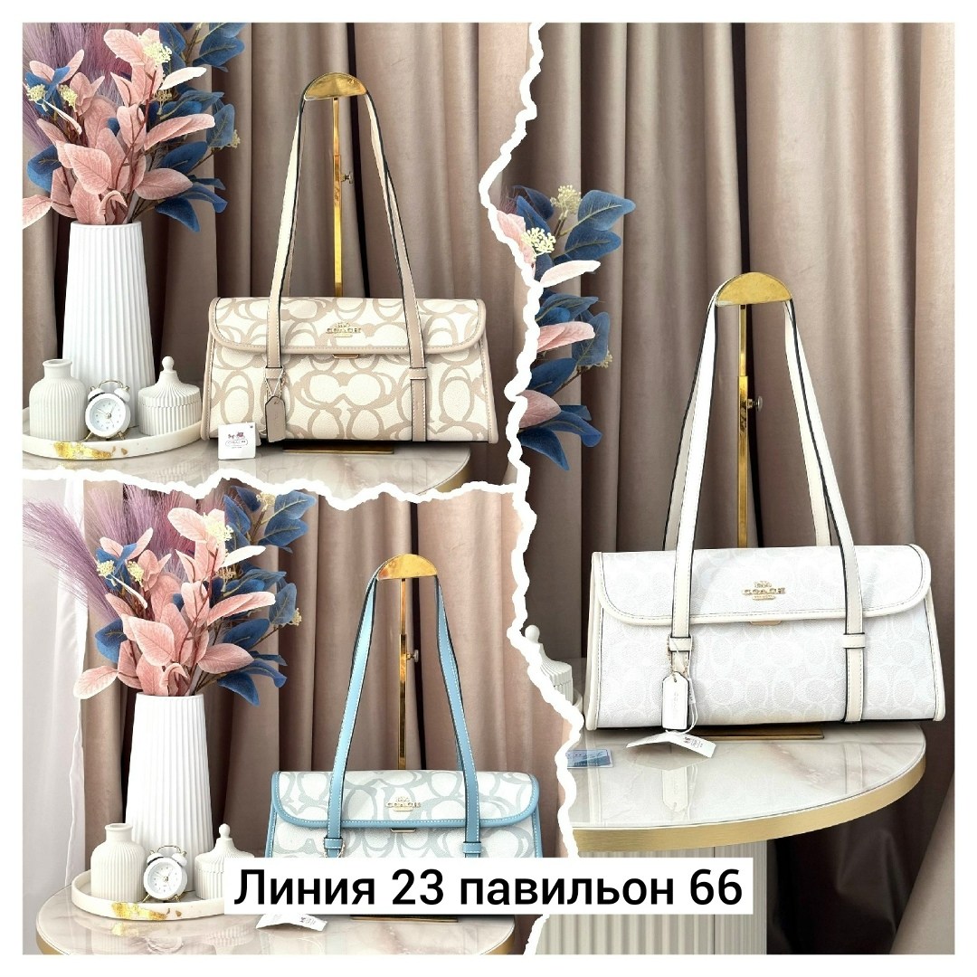 сумки,сумка,модная сумка,сумка coach,женская сумка