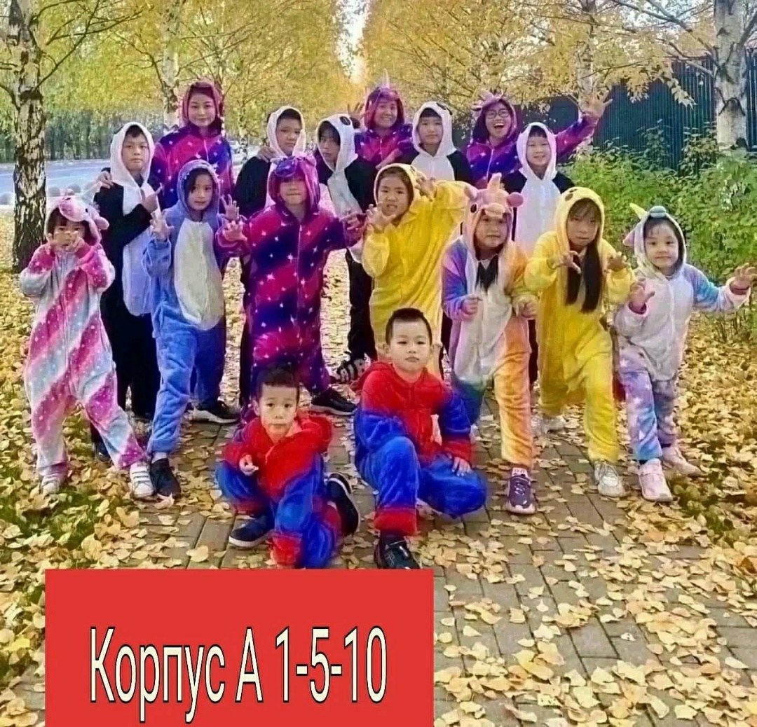 костюм пижама,кигуруми детский,пижама с капюшоном,пижама для детей,пижама кигуруми