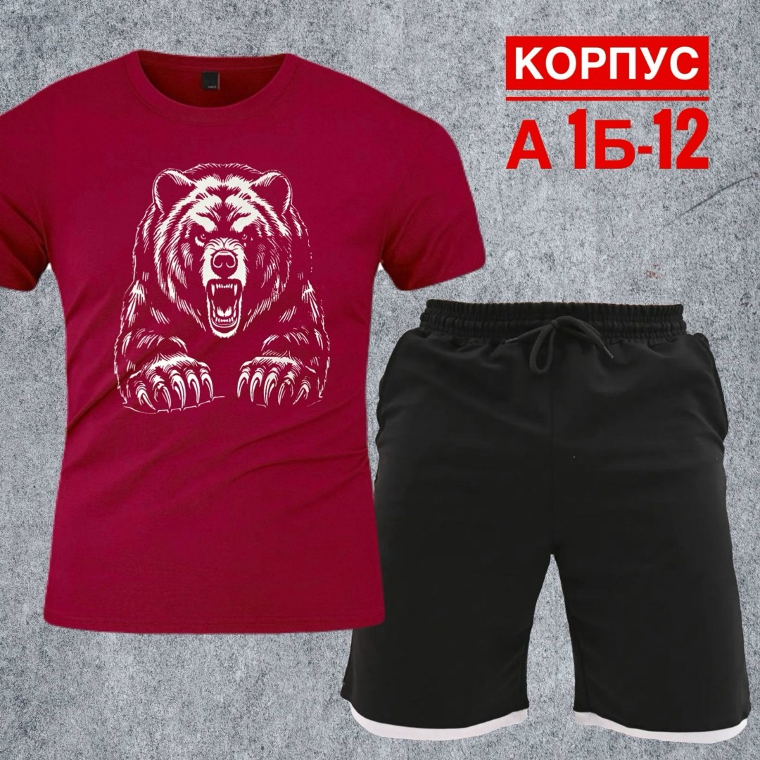спортивные мужские костюмы,костюм мужской,костюм для мужчин,футболки мужские