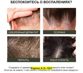 Одежда