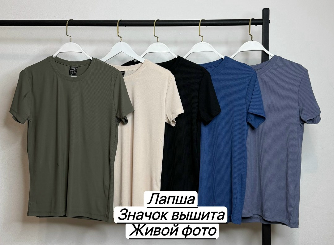 футболки для мужчин,мужская футболка,футболки лапша,футболка мужская базовая,мужское одежда