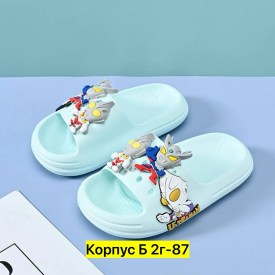 Сланцы