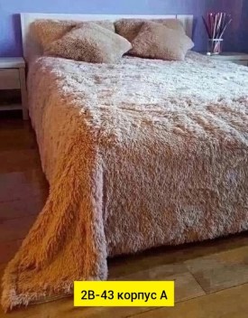 Одежда