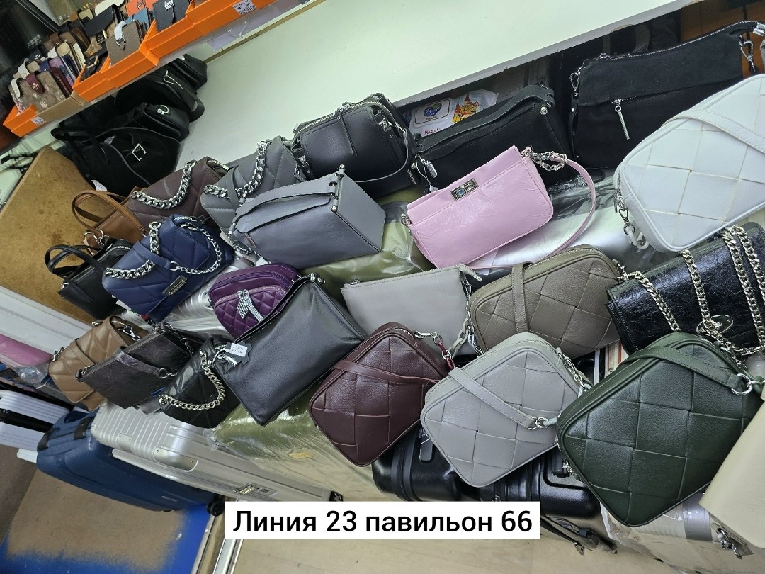 сумка,модная сумка,женская сумка,сумочка,сумки