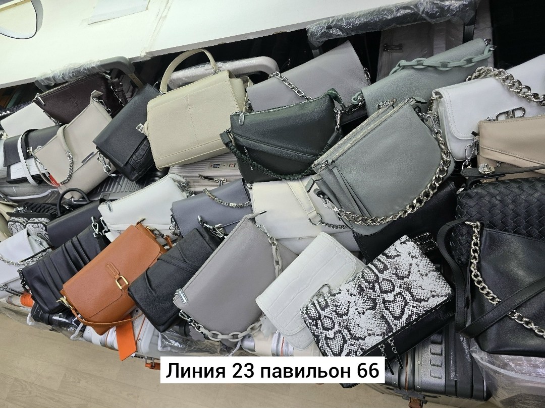 сумка,модная сумка,женская сумка,сумочка,сумки
