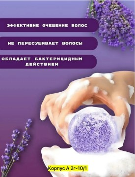 Одежда