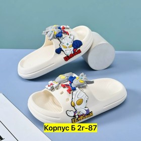 Сланцы