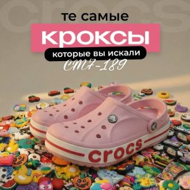 Сланцы