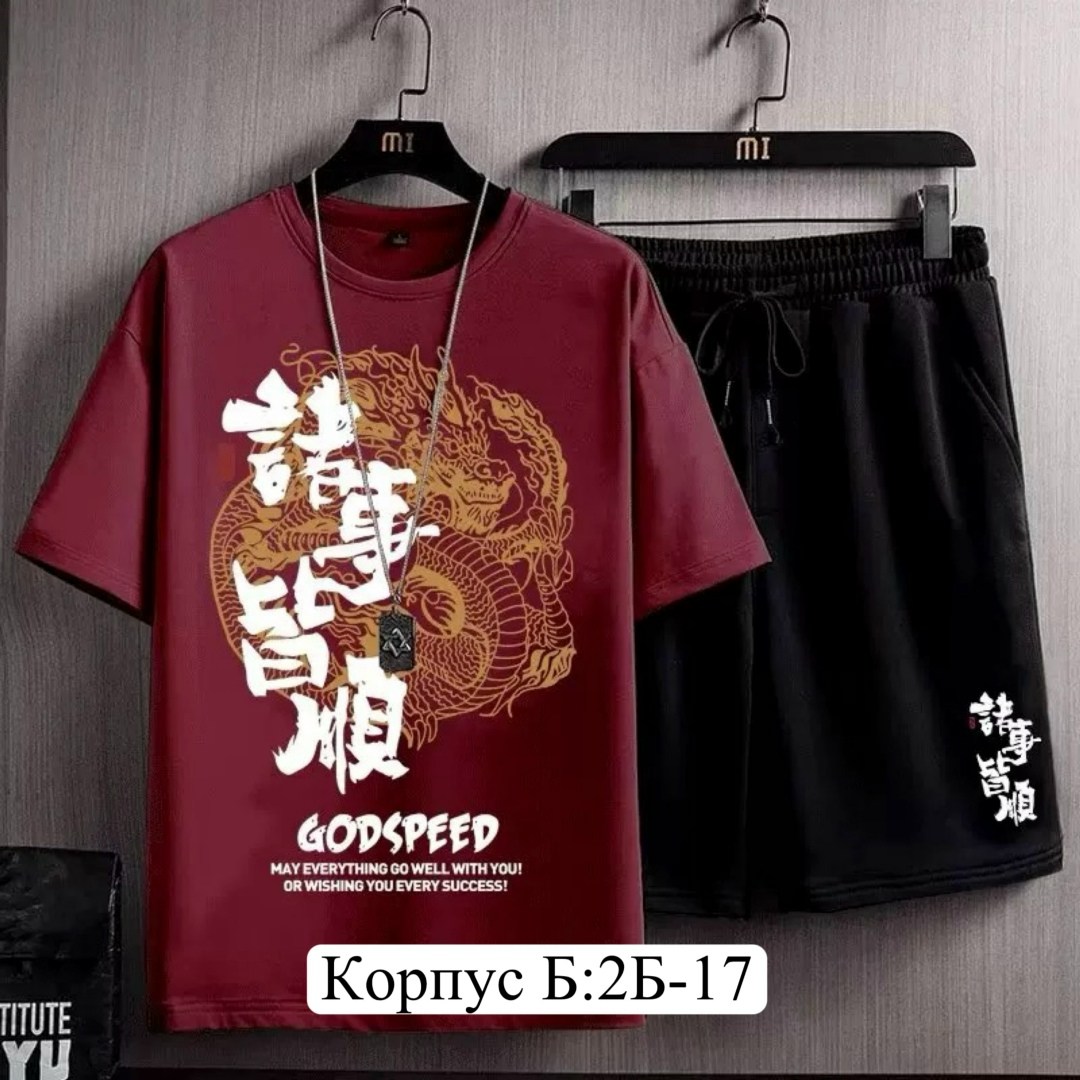 костюм спортивный мужской с принтом,спортивный костюм летний мужской,мужской спортивный костюм из двух предметов,мужские костюмы спортивные,футболки комплект