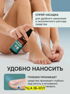 Одежда