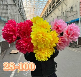 Одежда