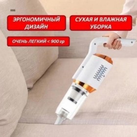 Одежда