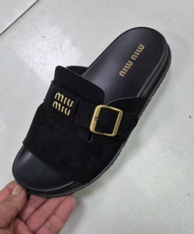 Сланцы