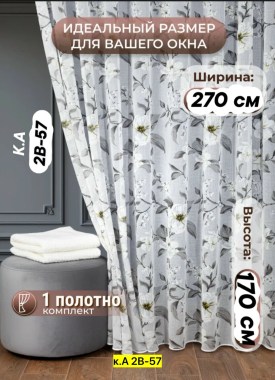 Одежда