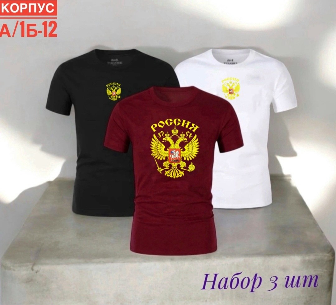 футболки мужские набор 3 шт,футболки для мужчин,футболки мужские,футболка с гербом,футболка с гербом россии